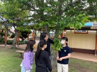 학교소식 > 전체 > 도리초, 2023학년도 생태환경동아리 첫 활동 실시 | 제주교육소식