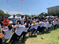 학교소식 > 유치원/초등학교 > 저청초, ‘모다情 지꺼지게 놀아봅주’ 어울림 한마당 실시 | 제주교육소식