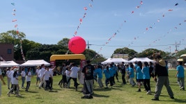 학교소식 > 유치원/초등학교 > 저청초, ‘모다情 지꺼지게 놀아봅주’ 어울림 한마당 실시 | 제주교육소식