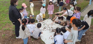 학교소식 > 유치원/초등학교 > 신광초병설유치원, 유·초 연계 함께하는 놀이, 생태체험 운영 | 제주교육소식