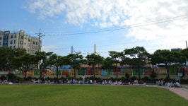 학교소식 > 전체 > 세화초, 교육3주체가 함께하는 ‘별빛 꿈을 품은 세화 캠프’ 운영 | 제주교육소식