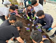 학교소식 > 유치원/초등학교 > 도련초등학교, 학교 꽃밭 가꾸기 행사 실시 - 생태환경교육으로 아름다운 학교 만들기 - | 제주교육소식