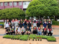 학교소식 > 유치원/초등학교 > 삼성여고, 학교사랑봉사단 학교생태환경 개선 참가 | 제주교육소식