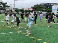 학교소식 > 유치원/초등학교 > 김녕초등학교, 풋살 스포츠클럽으로 활기찬 아침 열어 | 제주교육소식