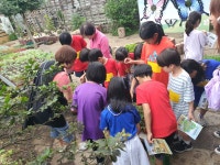 학교소식 > 유치원/초등학교 > 의귀초, 교육 3주체가 함께하는 ‘고치가게 우리동네 탐방활동’ 실시 | 제주교육소식
