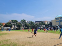 학교소식 > 유치원/초등학교 > 남광초, 2023 남광 월드컵 축구 대회 개최 | 제주교육소식