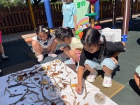 학교소식 > 유치원/초등학교 > 삼성초병설유치원, 찾아오는 현장 지원 자연놀이 | 제주교육소식