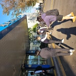 학교소식 > 유치원/초등학교 > 세화고, 독도 교육주간 운영 | 제주교육소식