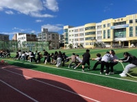 학교소식 > 유치원/초등학교 > 노형초, 학년별 노형 스포츠데이 대회 운영 | 제주교육소식