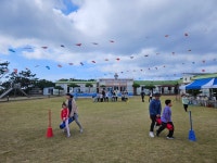 학교소식 > 유치원/초등학교 > 가파초, 교육 3주체가 함께하는 명랑운동회 실시 | 제주교육소식