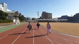 학교소식 > 유치원/초등학교 > 보목초, 보목어린이집 원아 초청 학교와 친해지기 프로그램 운영 | 제주교육소식