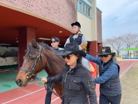 학교소식 > 전체 > 제주영송학교, 제주자치경찰기마대와 함께하는 재활승마 교실 | 제주교육소식