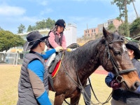학교소식 > 전체 > 제주영송학교, 제주자치경찰기마대와 함께하는 재활승마 교실 | 제주교육소식