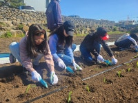 학교소식 > 유치원/초등학교 > 보성초, 교육 3주체가 함께하는 모다들엉 꿈담왓 우영팟 가꾸기 실시 | 제주교육소식