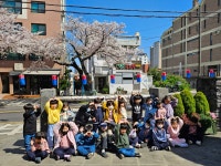 학교소식 > 유치원/초등학교 > 삼성초병설유치원,벚꽃길 봄나들이 | 제주교육소식