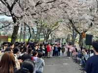 학교소식 > 유치원/초등학교 > 화북초, 작·소·행(작지만 소중하고 행복한) 음악회 열리다! | 제주교육소식