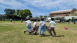 학교소식 > 유치원/초등학교 > 토평초, 인정어린한마당 운영 | 제주교육소식