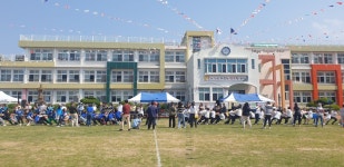 학교소식 > 유치원/초등학교 | 제주교육소식