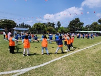 학교소식 > 유치원/초등학교 > 서광초, 서광한마음축제 개최 | 제주교육소식