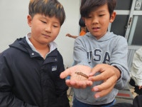 학교소식 > 유치원/초등학교 > 하례초, 지역 전문가와 함께하는 습지학교 프로그램으로 자연 속 신비를 발견하다 | 제주교육소식