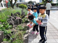 학교소식 > 유치원/초등학교 > 신촌초등학교병설유치원, 제주문화예술재단 유아문화예술교육 지원사업 늘싹들싹 프로젝트 운영 | 제주교육소식