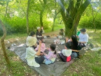 학교소식 > 유치원/초등학교 > 월랑초등학교병설유치원, “모락모락 놀이데이” 가족숲체험 실시 | 제주교육소식