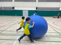 학교소식 > 유치원/초등학교 > 백록초등학교병설유치원, 몸 튼튼 마음 튼튼 스포츠 데이 실시 | 제주교육소식