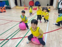 학교소식 > 유치원/초등학교 > 백록초등학교병설유치원, 몸 튼튼 마음 튼튼 스포츠 데이 실시 | 제주교육소식