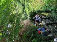 학교소식 > 유치원/초등학교 > 서귀북초, 학급특색 프로젝트(사계절 제주 동네 여행, 사제동행) 운영 | 제주교육소식