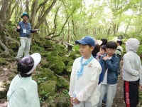 학교소식 > 전체 > 조천초, 3학년 곶자왈 생태체험학교 활동 참여 | 제주교육소식