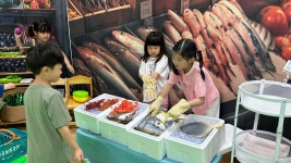 학교소식 > 유치원/초등학교 > 노형초병설유치원, 찾아오는 직업체험놀이 실시 | 제주교육소식