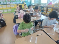 학교소식 > 유치원/초등학교 > 대정초, 1, 2학년 대상 버블버블 손씻기, 슬기로운 기침예절 교육 실시 | 제주교육소식