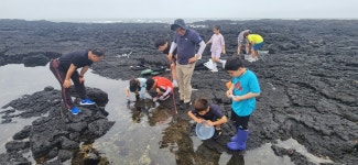학교소식 > 유치원/초등학교 > 태흥초, 태흥리 해안가 조수웅덩이 체험 | 제주교육소식