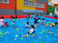 학교소식 > 유치원/초등학교 > 신광초병설유치원, 물속으로 풍덩! 신광워터파크 실시 | 제주교육소식