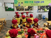 학교소식 > 유치원/초등학교 | 제주교육소식
