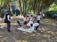 학교소식 > 유치원/초등학교 > 인간과 자연이 하나 되는 숲속 놀이터 프로그램 운영 | 제주교육소식