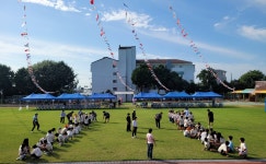 학교소식 > 유치원/초등학교 > 보목초, 2024 교육가족 한마당 축제 실시 | 제주교육소식