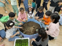 학교소식 > 유치원/초등학교 > 삼성초병설유치원, 다육이 심기 | 제주교육소식
