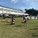 학교소식 > 유치원/초등학교 > 안덕초. 한 아이를 키우기 위해서는 마을 전체가 필요함을 느끼게 한 가을 운동회 실시 | 제주교육소식