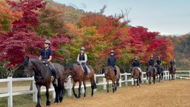 학교소식 > 유치원/초등학교 > 2024년 서귀포산업과학고등학교 자영말산업과  제주 첨단 농생명[말산업]분야 전문인력양성을 위한 국내 승마... 