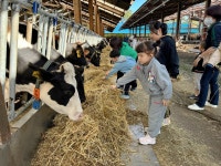 학교소식 > 특수학교 > 제주영송학교, 초등학교 과정 홍스랜드 현장체험학습 실시 | 제주교육소식