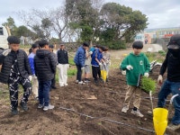 학교소식 > 유치원/초등학교 > 보성초, 꿈담왓 모다들엉 우영팟 가꾸기 실시 | 제주교육소식