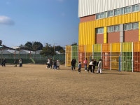 학교소식 > 유치원/초등학교 > 2025학년도 강정초등학교 일강정 아침걷기 | 제주교육소식
