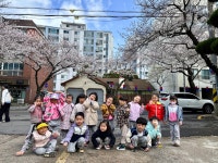 학교소식 > 유치원/초등학교 > 삼성초병설유치원, 벚꽃길 봄나들이 | 제주교육소식