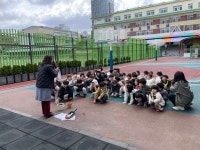 학교소식 > 유치원/초등학교 > 신광초등학교병설유치원 마음자람 자연 생태체험 ‘무화과 나무 삽목’ | 제주교육소식
