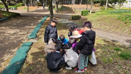 학교소식 > 유치원/초등학교 > 백록초등학교병설유치원 <자연 속에서 풍덩~!> 숲체험 교육 실시 | 제주교육소식