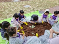학교소식 > 유치원/초등학교 > 해안초등학교병설유치원, 식목일 맞이 나무 심기 | 제주교육소식