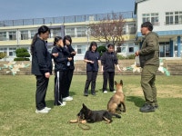 학교소식 > 고등학교 > 대정여고, 2025 맞춤형 진로진학 프로그램 본격 운영 | 제주교육소식