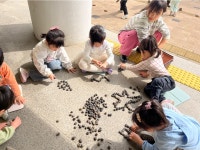 학교소식 > 유치원/초등학교 > 제주동초병설유치원, 제주의 문화를 이해하는 돌담쌓기 체험 | 제주교육소식