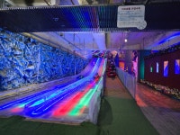 학교소식 > 유치원/초등학교 > 조천초, 1학년 수목원테마파크 현장체험학습 실시 | 제주교육소식